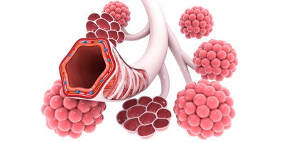 Вчені порівняли ефект від лікування пневмонії фагами та антибіотиками