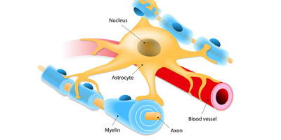 Лікування неонатального менінгіту бактеріофагами