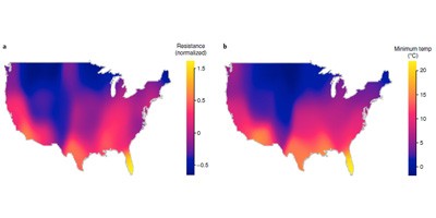 Глобальне потепління сприяє поширенню стійкості бактерій до антибіотиків
