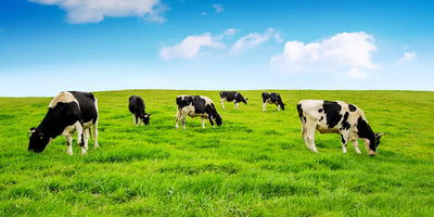 Бактеріофаги проти глобального потепління: як це можливо?