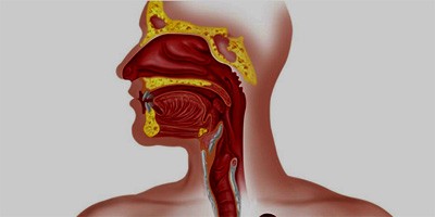 Сучасні можливості терапії та профілактики мікробних інфекцій у практиці отоларинголога
