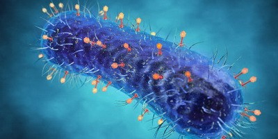 Оновлено дані щодо використання фаготерапії за програмою відкритого доступу