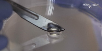 Антибактеріальний гель, створений на основі бактеріофагів